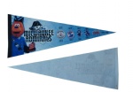 custom felt pennant/flag